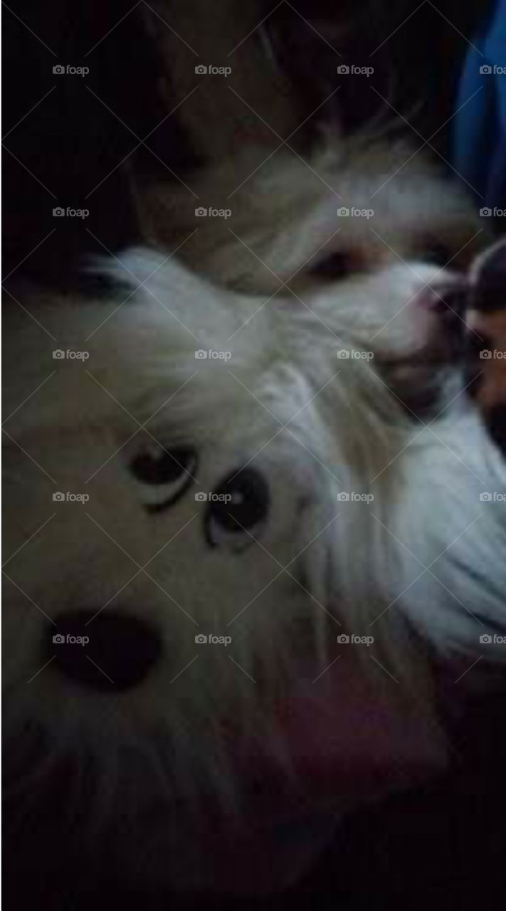 hiding in plain sight