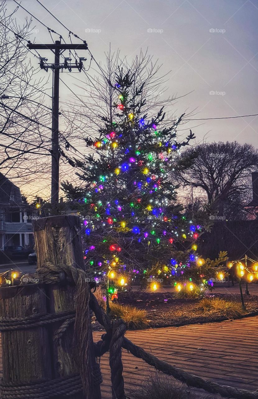 Christmas tree on the street corner 