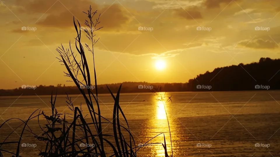 sunrise