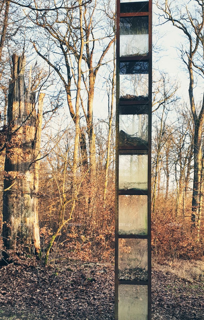 Glass structure in the woods