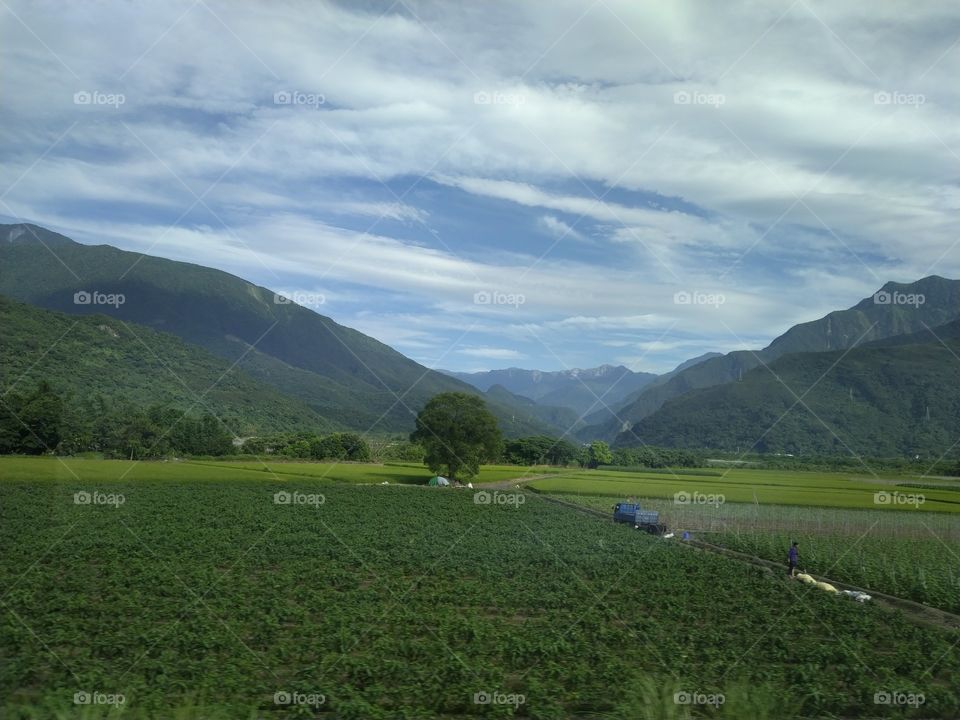 a farm in a mountain side