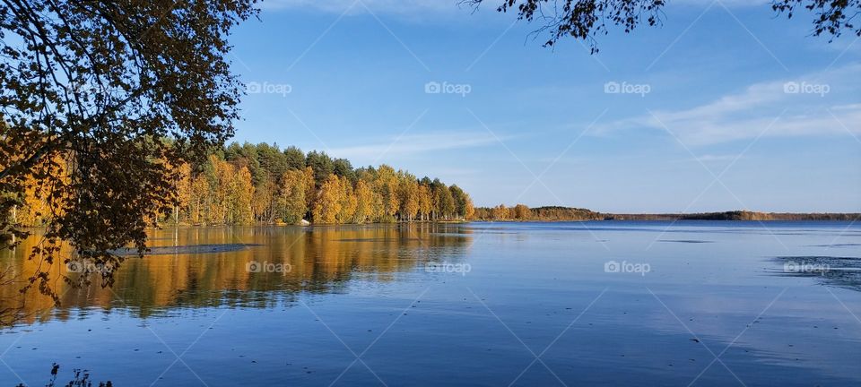 Autumn colours and reflection