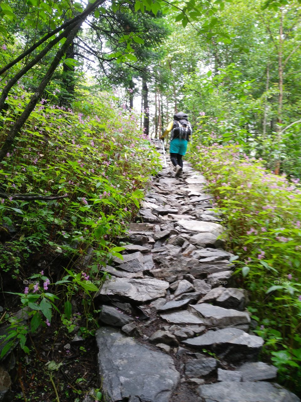 on the flowery path