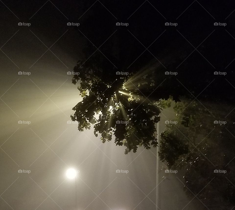 Foggy night