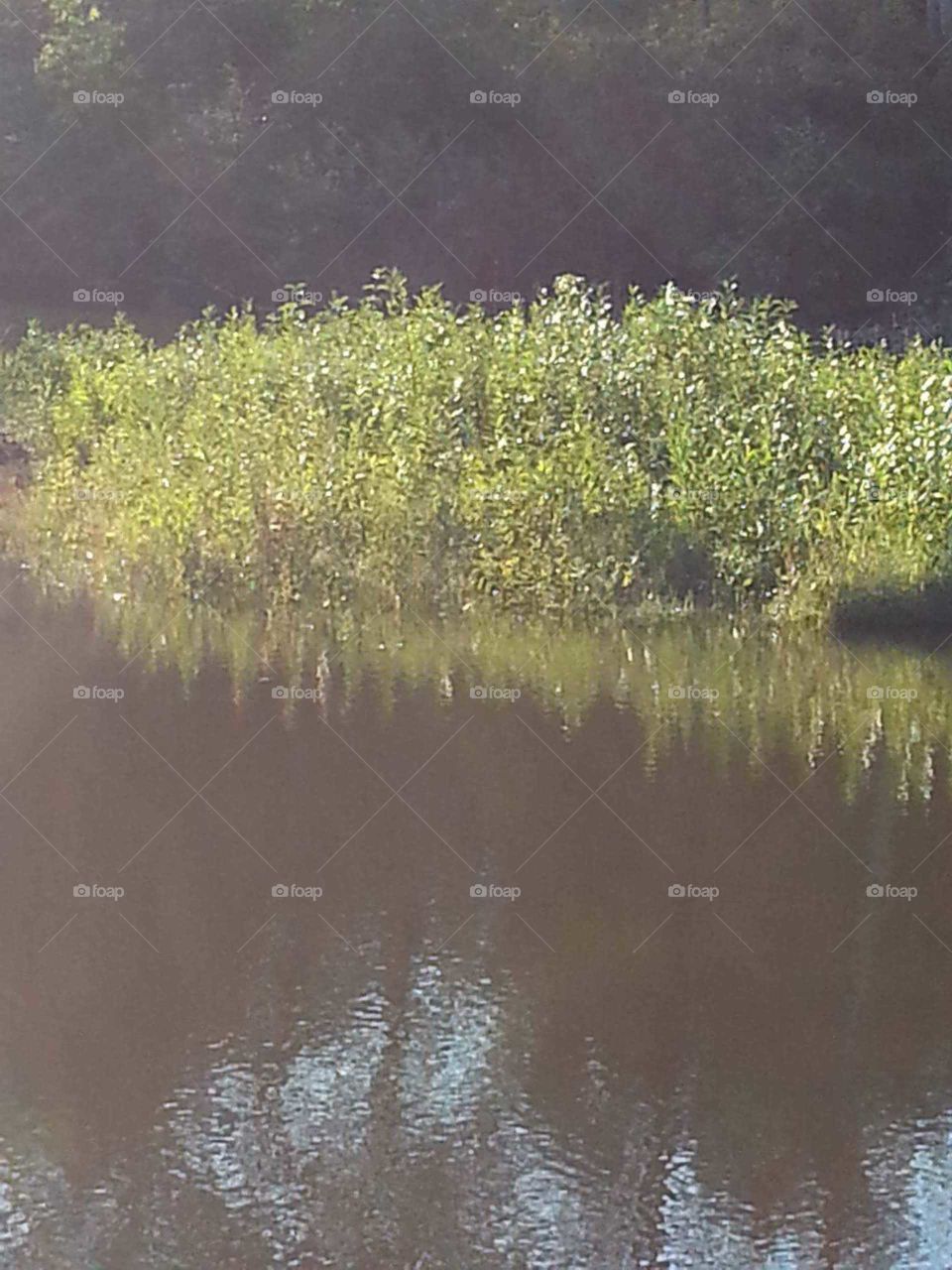 Water, River, No Person, Reflection, Nature