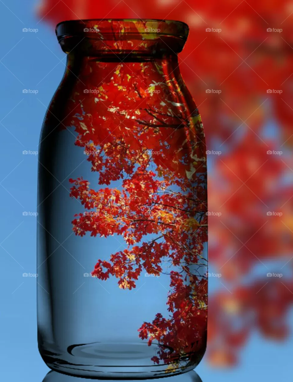 Leaf