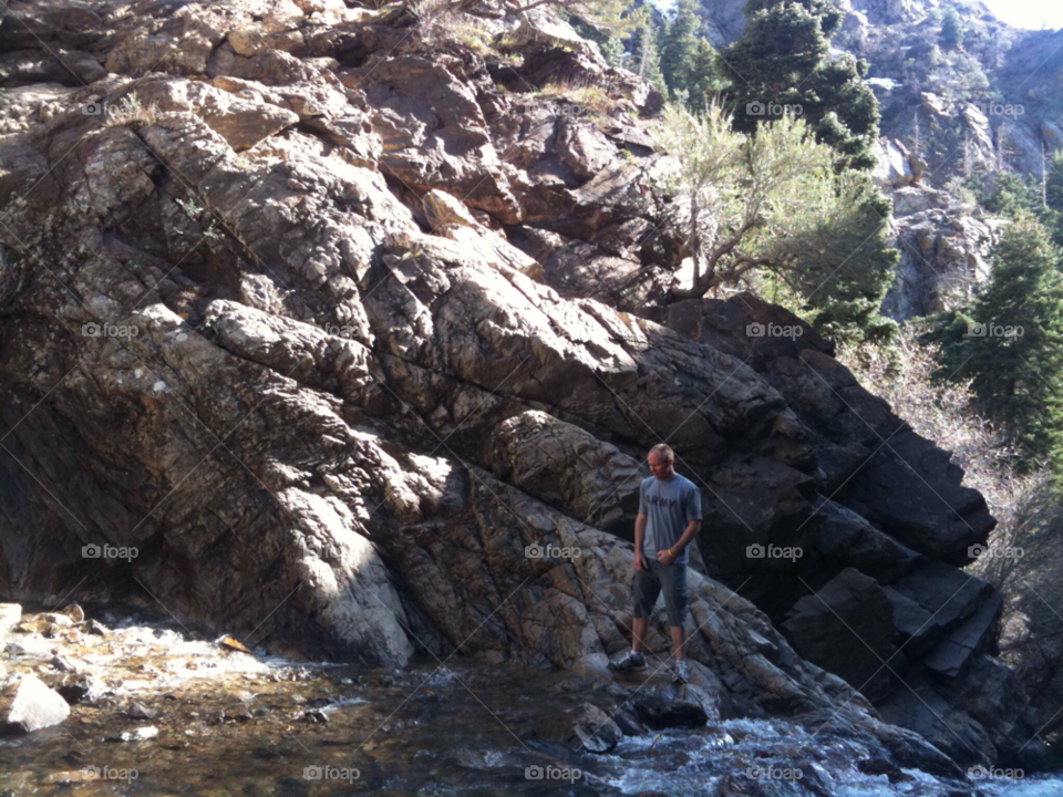 summer trees hike stream by DanXSmith