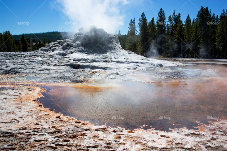View of castle geyser at yellowstone national park