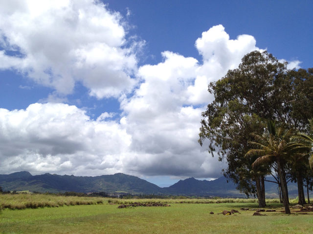 sky nature grass clouds by tshfkym