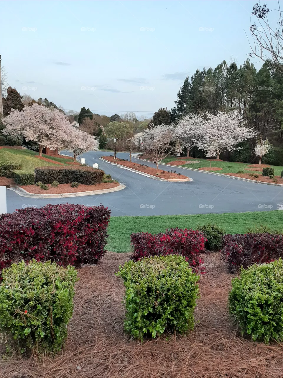 Spring