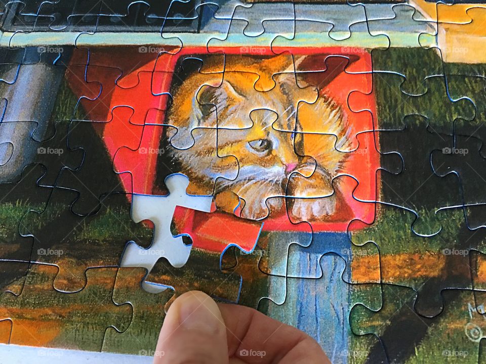 Orange puzzle