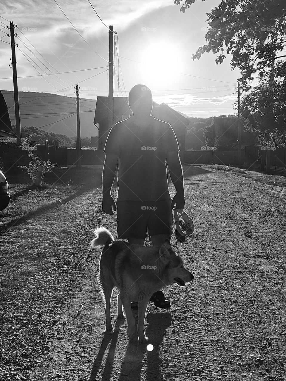 my friend walking with his husky dog on a hot summer evening in the countryside