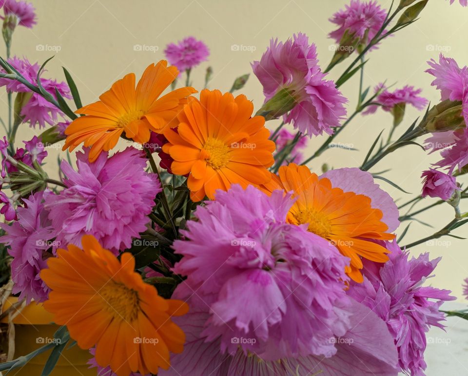 flower bouquet