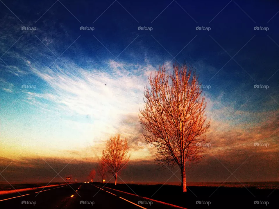 Sunrise
