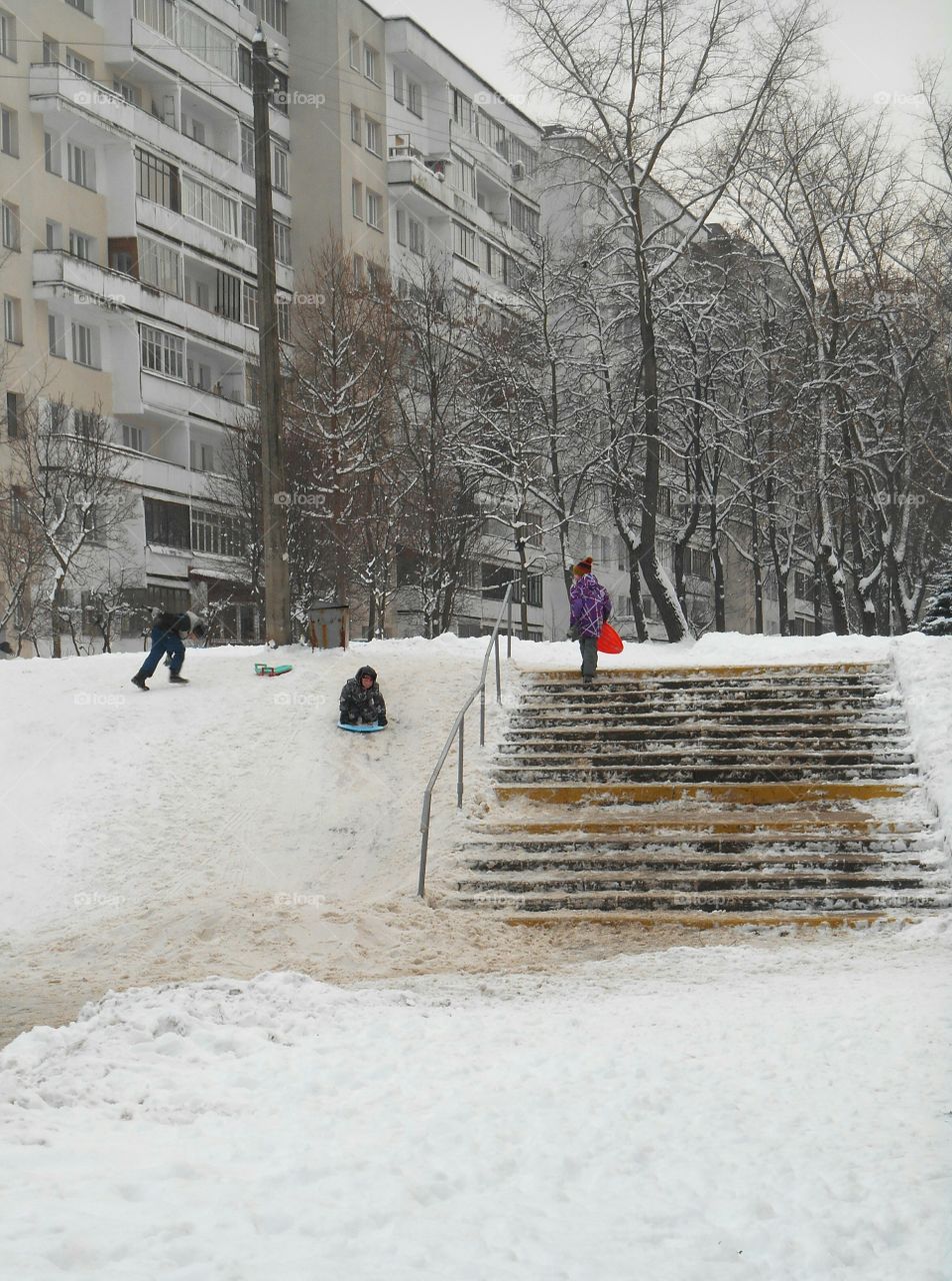 Snow, Winter, Cold, Weather, Frost