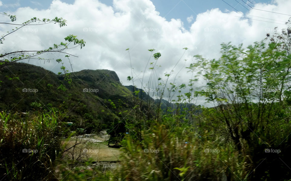 Volcanic Mountain Range. This is a picture of the volcanic mountain range on St. Lucia.