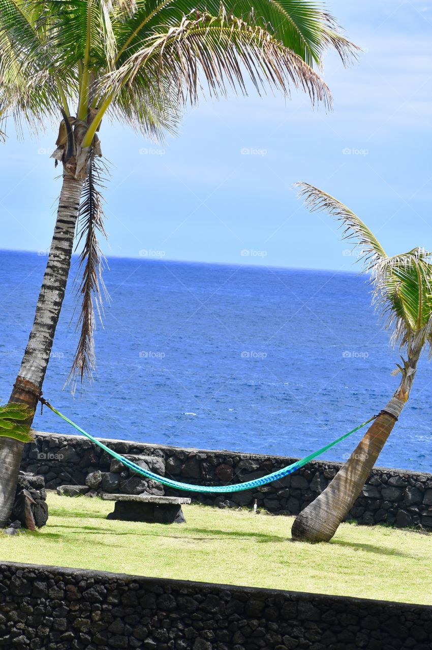A Hammock between two palms with ocean sea spray thrown in.