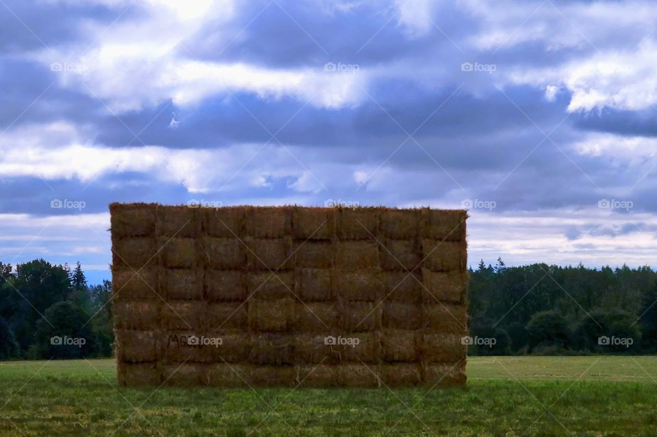 It's Hay Harvest Season