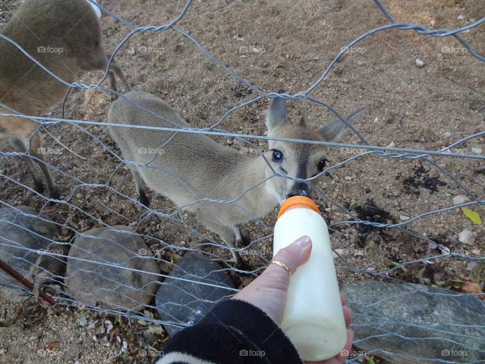 Feeding time 