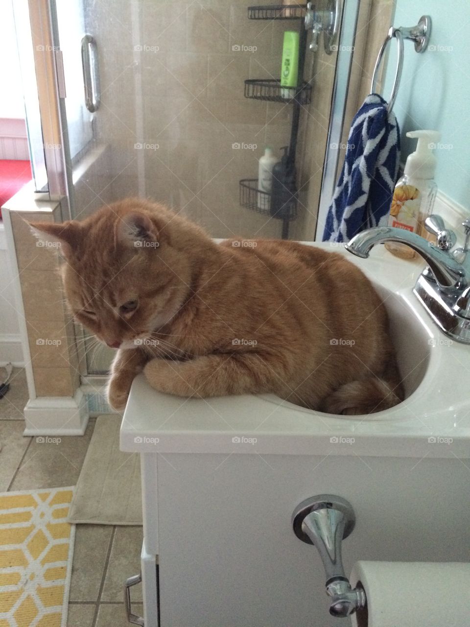 Sink seat