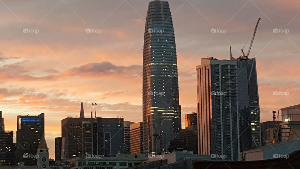 TransAmerica dwarf in background of modern day San Francisco with SalesForce being tallest in City.