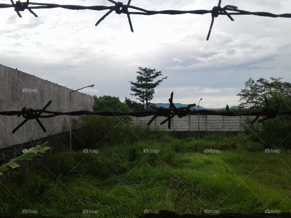 in barbed wire
