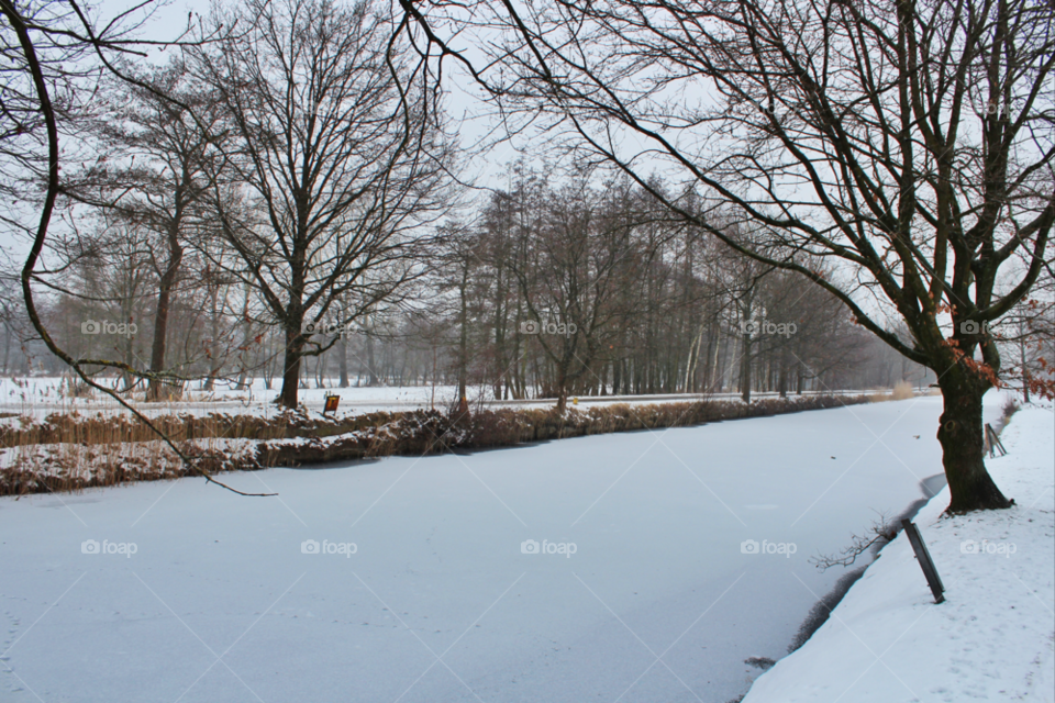 snow winter nature water by twilite