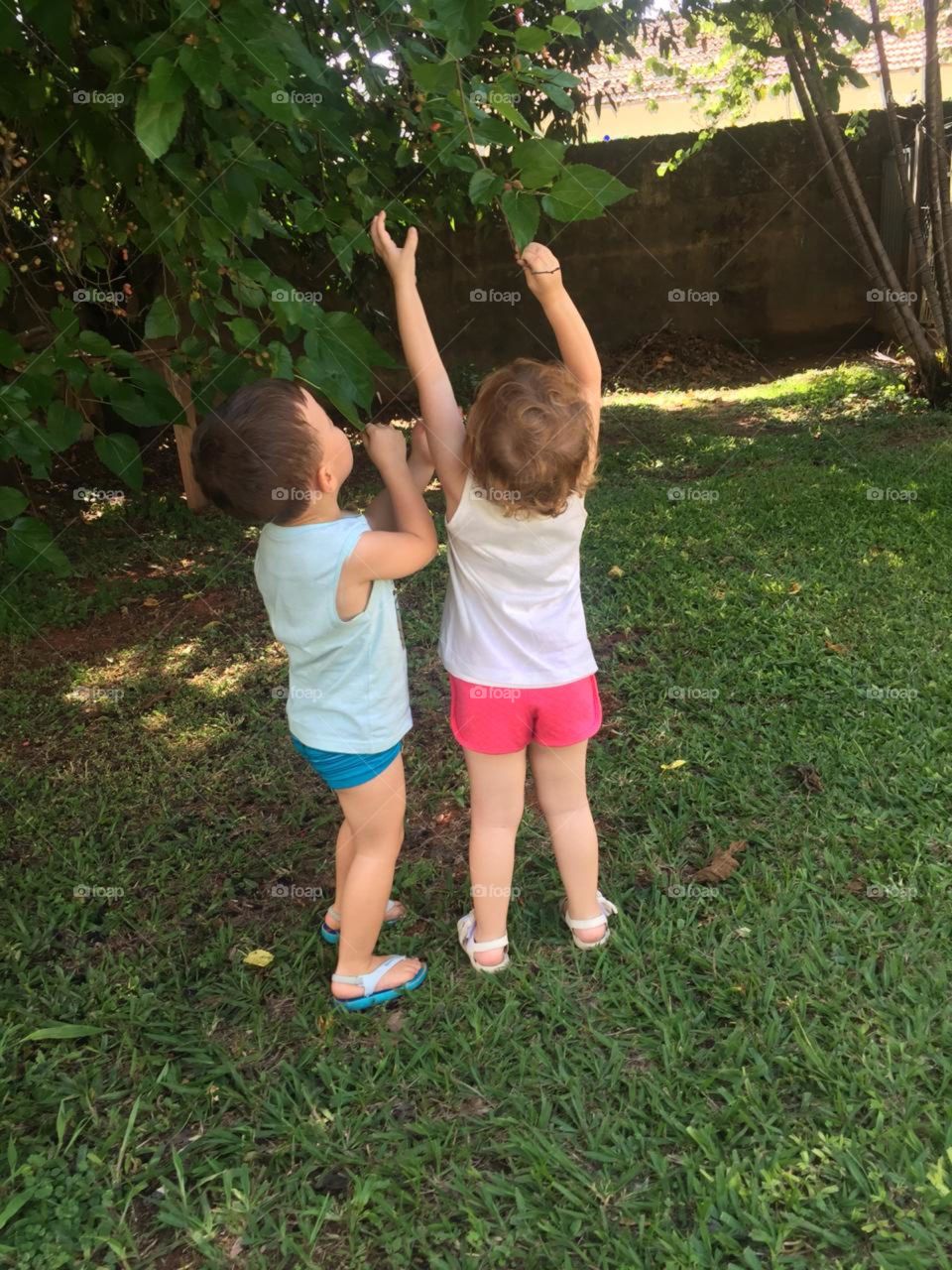 Is there anything better than picking blackberries on your feet?  Children are smearing themselves! / Tem coisa mais gostosa do que colher amora no pé? As crianças estão se lambuzando!
📸
#FOTOGRAFIAéNOSSOhobby #baby #vida #jardim #amor 