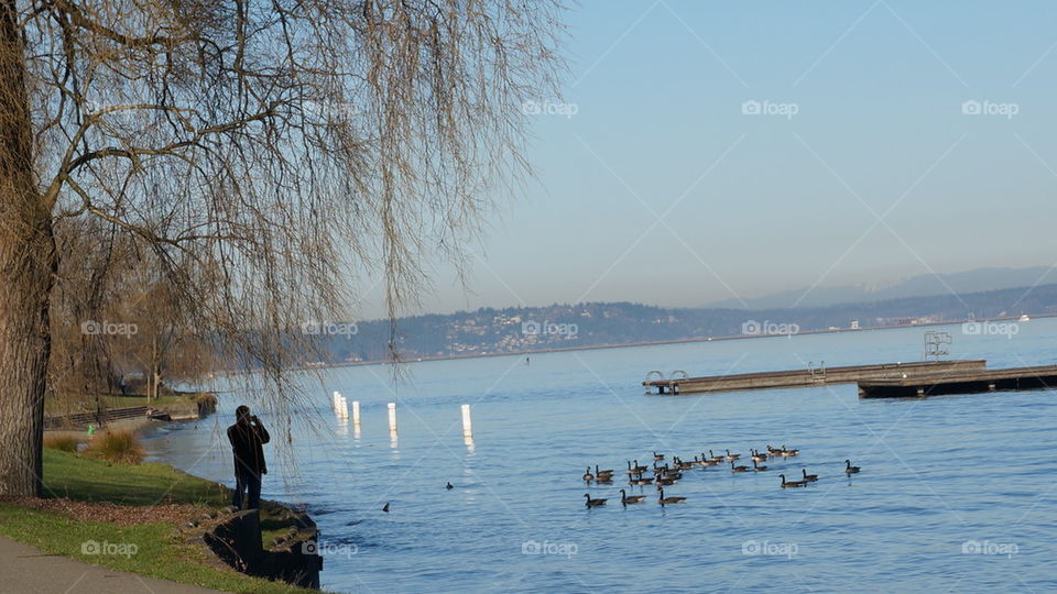 Lake Washington on a Sunny Day