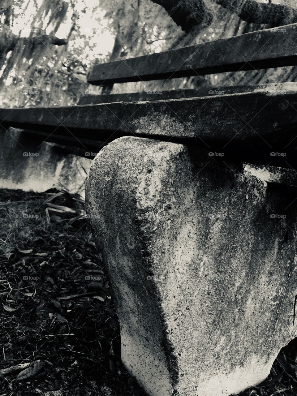 Abandoned Sunland Mental Institution urbex bench