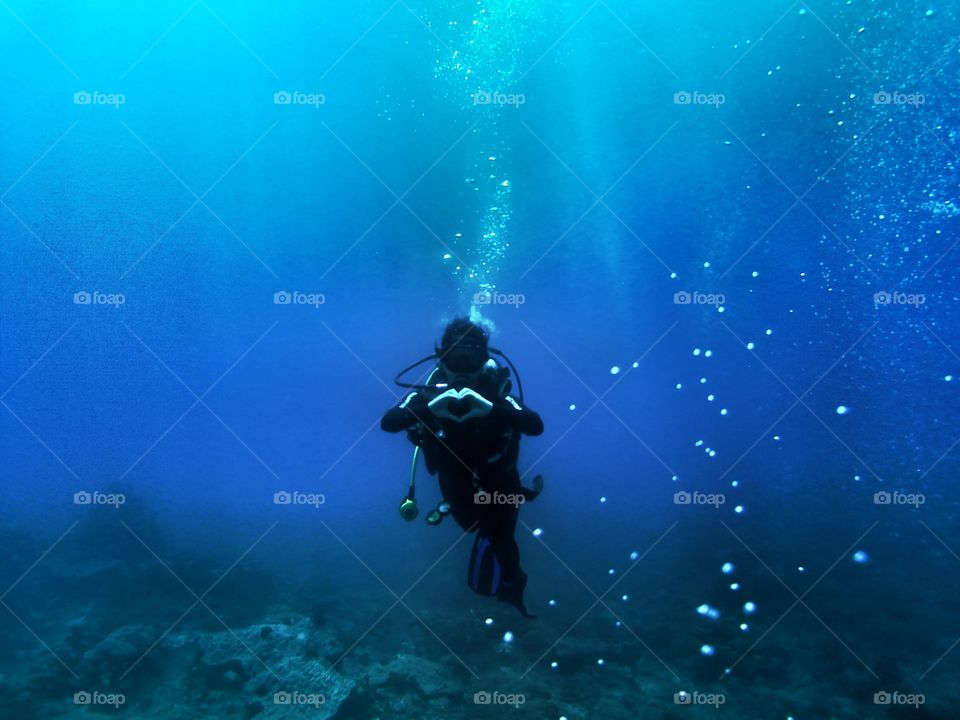 Underwater, Fish, Water Sports, Water, Exploration