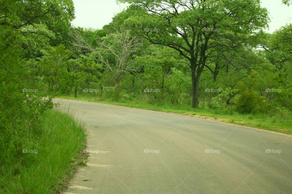 Road, No Person, Landscape, Nature, Guidance