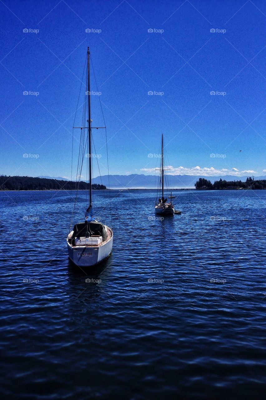 Sailboats wait