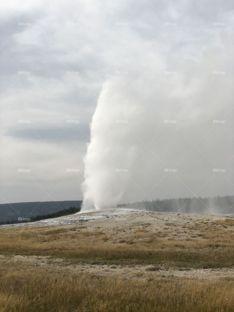 Old Faithful in Yellowstone
