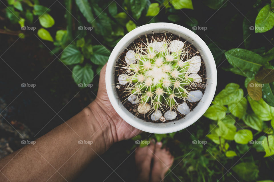 Portrait of a plant 🌱