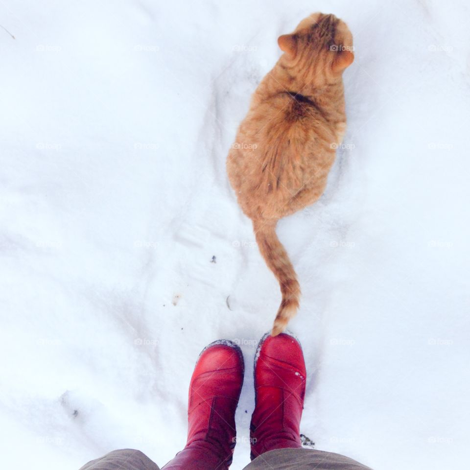 red boots and red cat