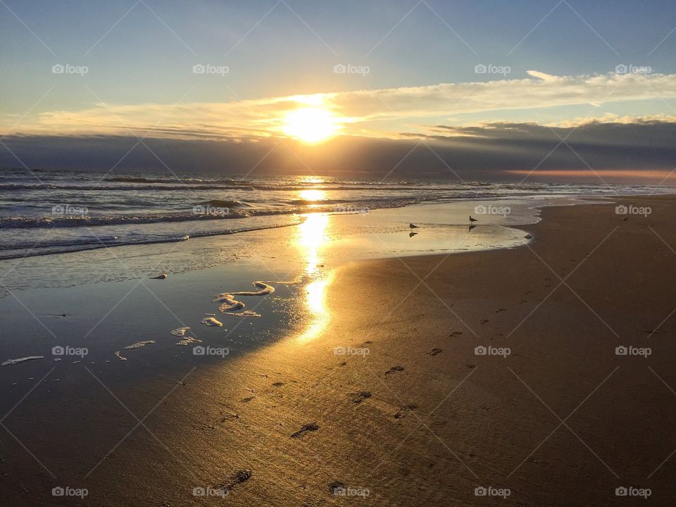 Sunlight glowing on beach