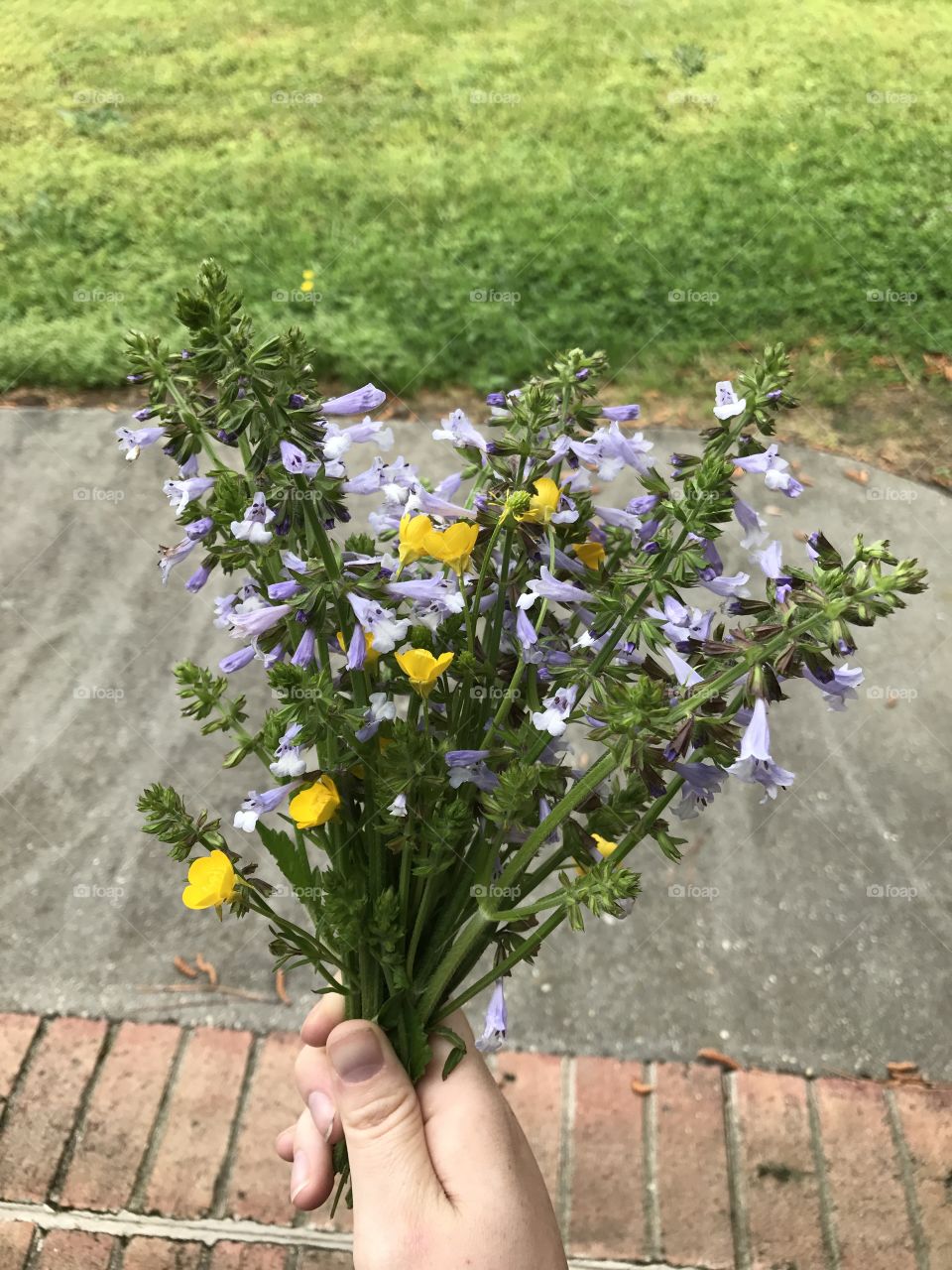 Bouquet 