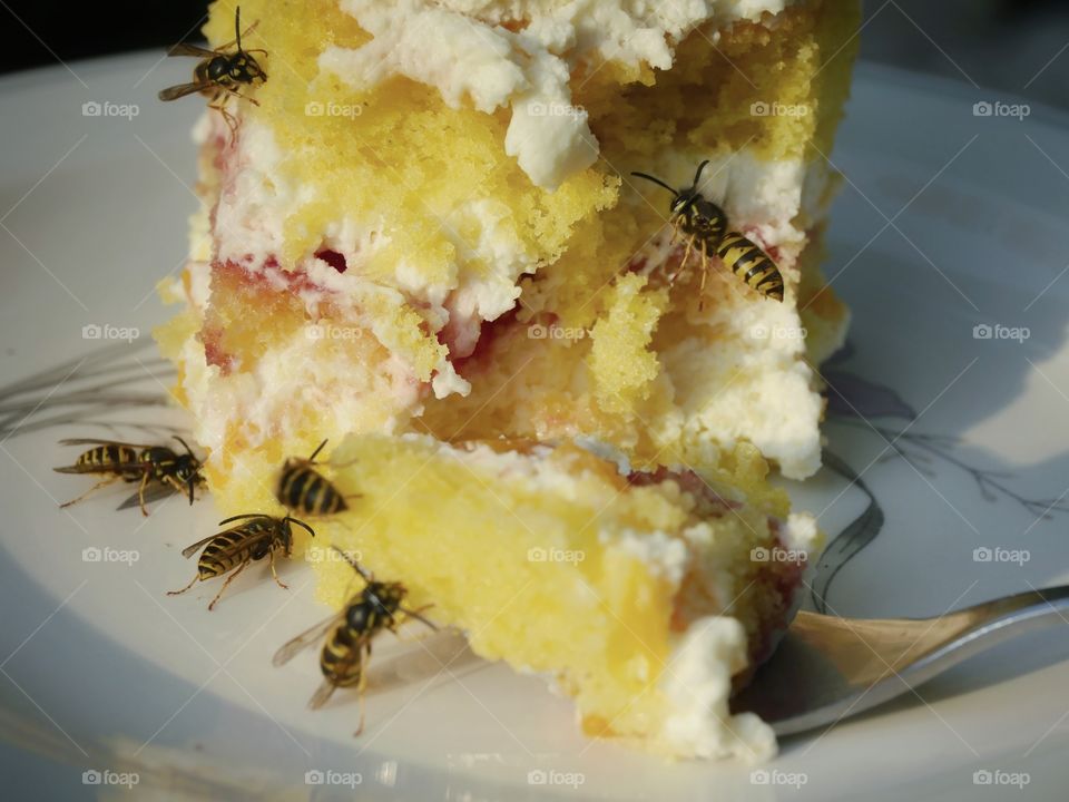 Wasps on cake