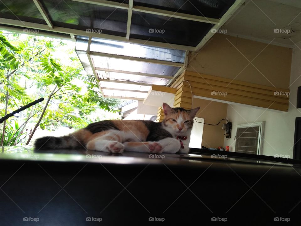 from the highest place