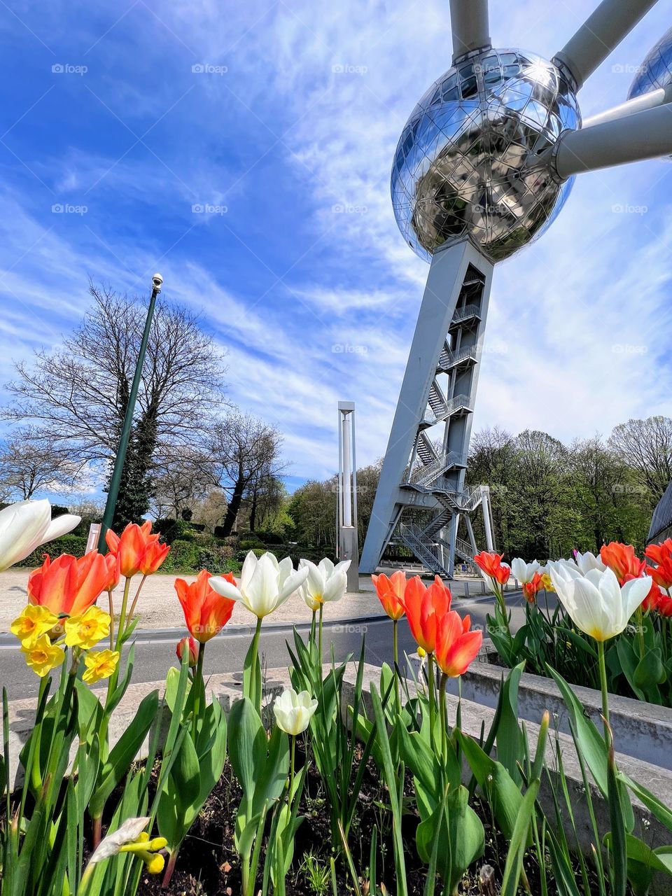 Beautiful spring has sprung view with the Atomium sphere detail behind the blooming tulips under the bright blue sky with white clouds 