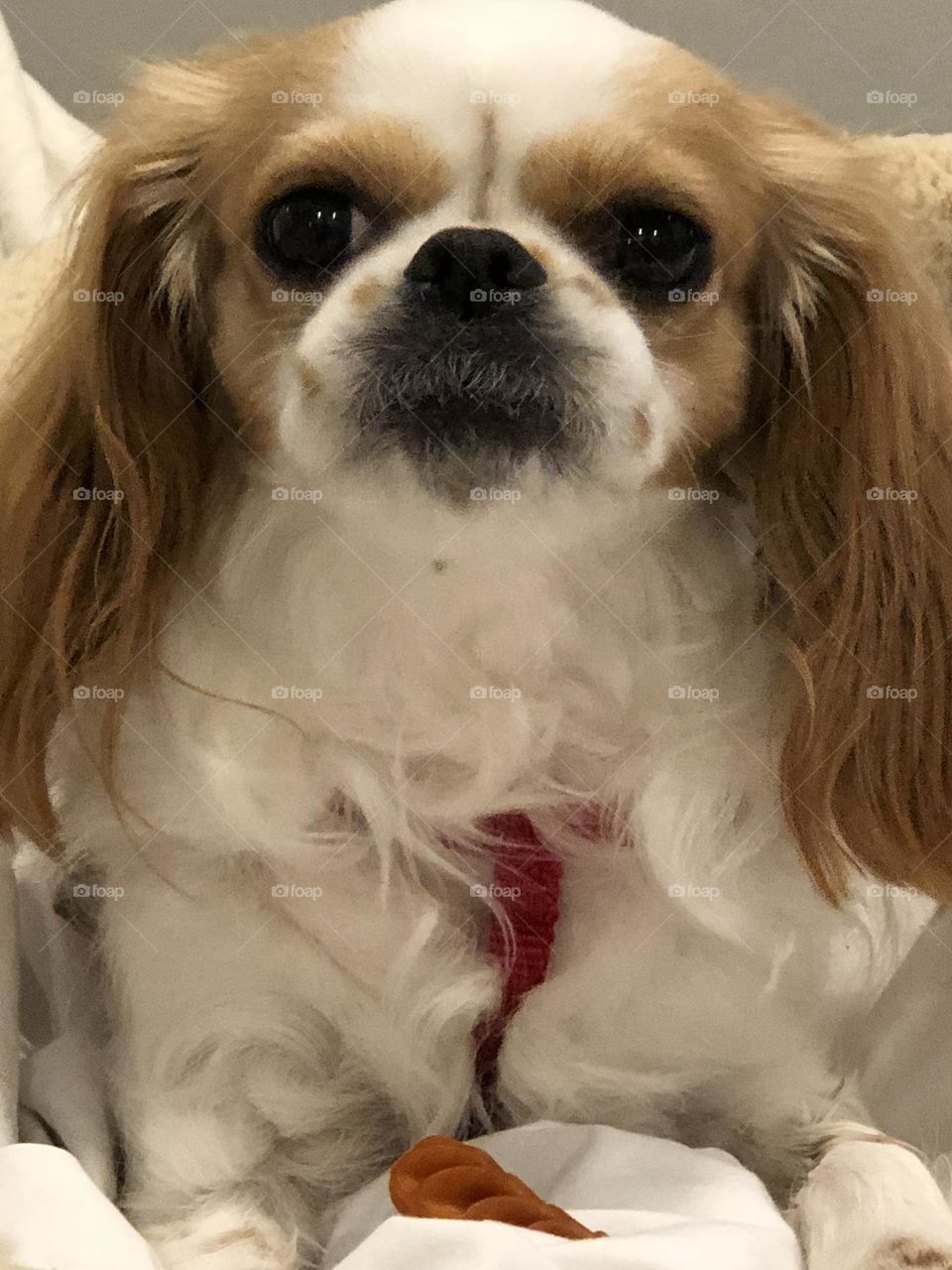 She has my whole heart