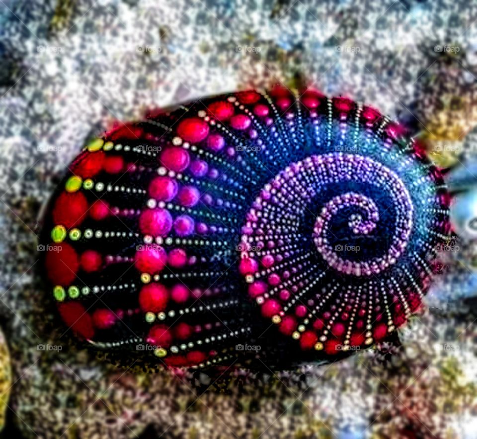 I found it at the seashore, I was so amazed to its design and color. This is one of the proof that God is excellent designer over the universe. He made it to make his people wonder how He care for us.