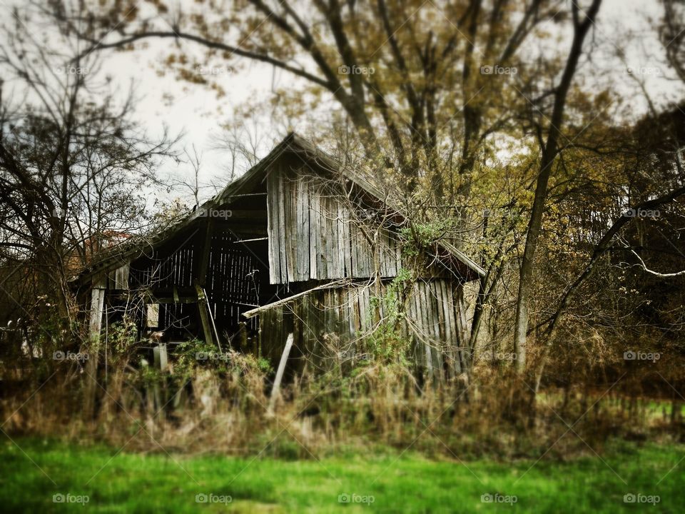 Abandoned Shack. Abandoned, run-down shack in a field 
