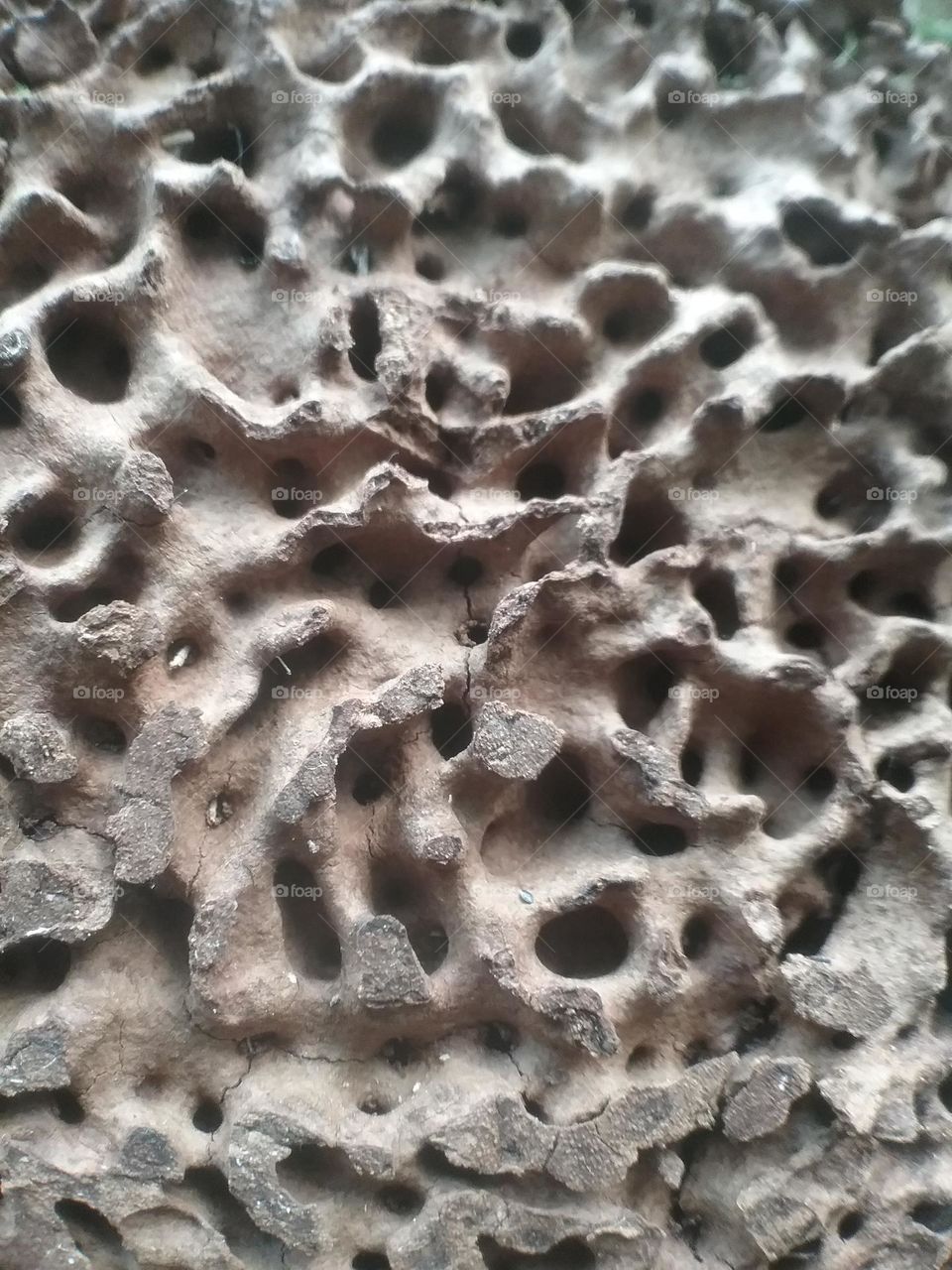 Um trabalho especial