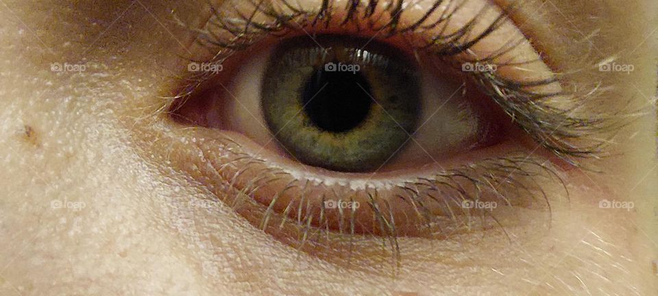 Green eye up close