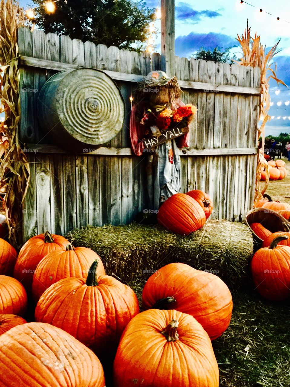 Happy fall y'all in Dallas Texas 