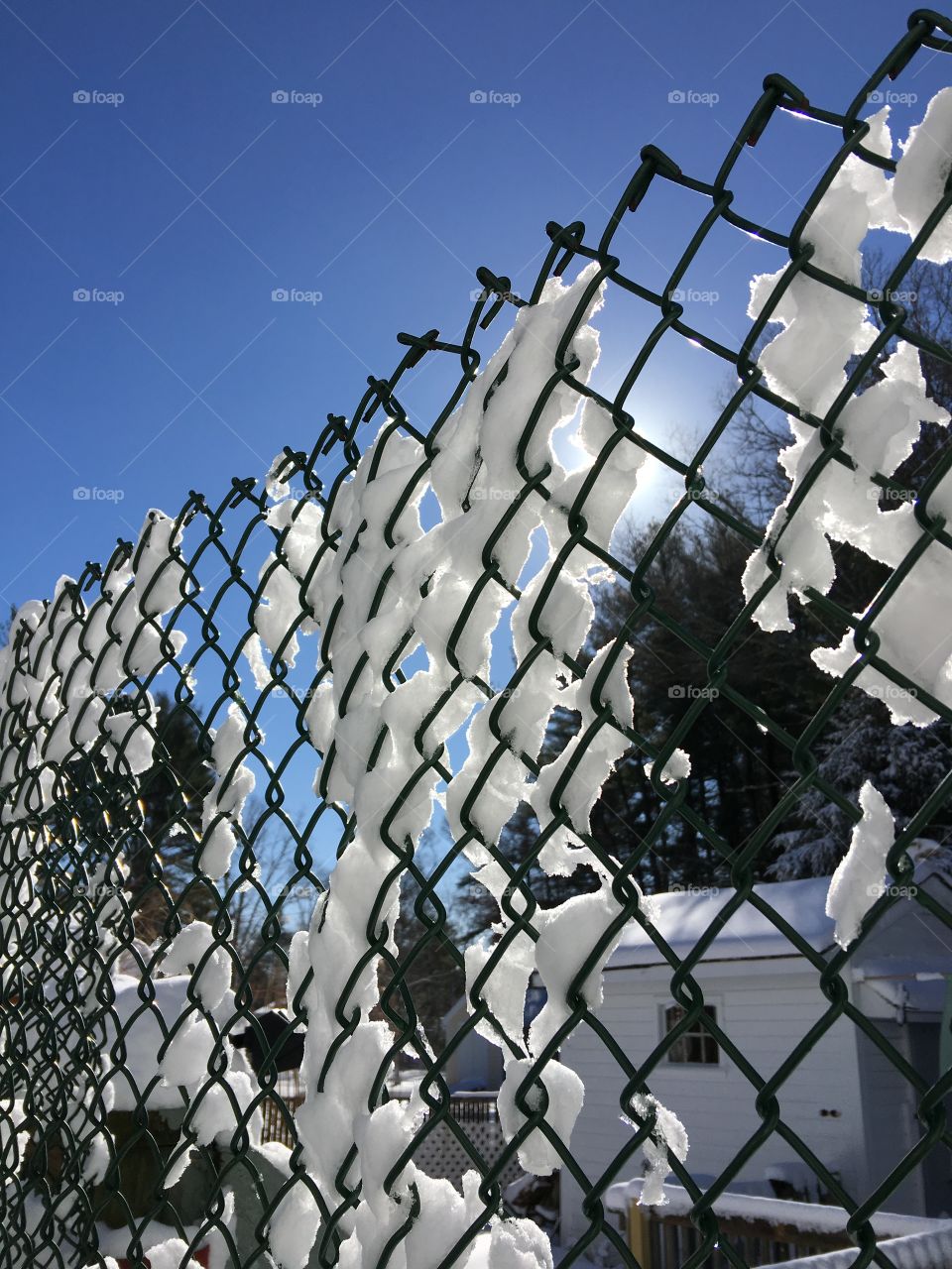 Fence with snow