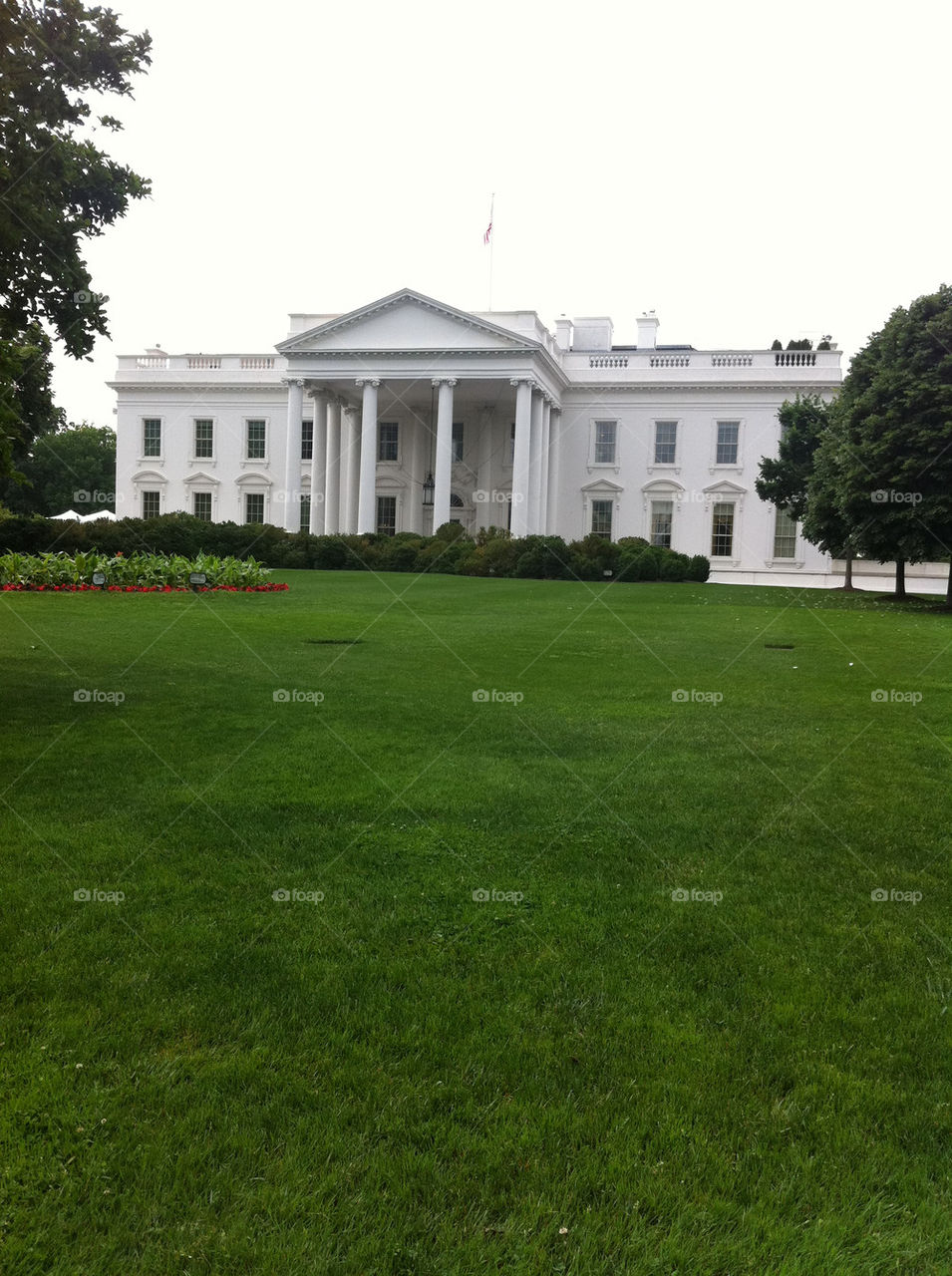 the white house blanc by hipcarrie