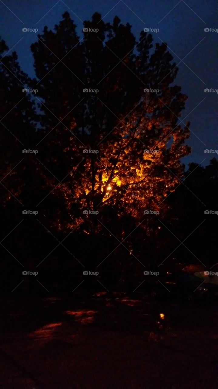 summer. night. light. peace